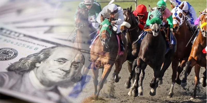 Horse Racing Betting Tips - Choose the Right Bets