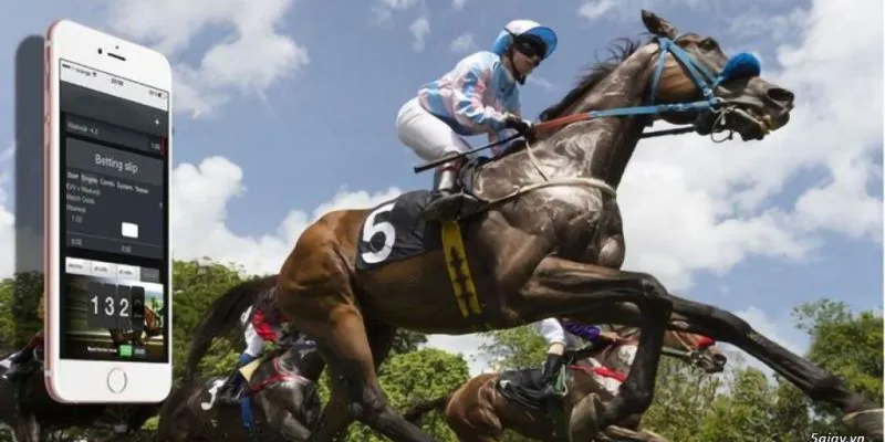 Information you need to know horse racing betting tips